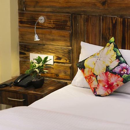 מוסורי Nirvana Lodge And Lounge מראה חיצוני תמונה